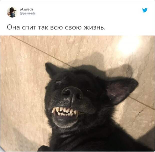 www.vsyako.net