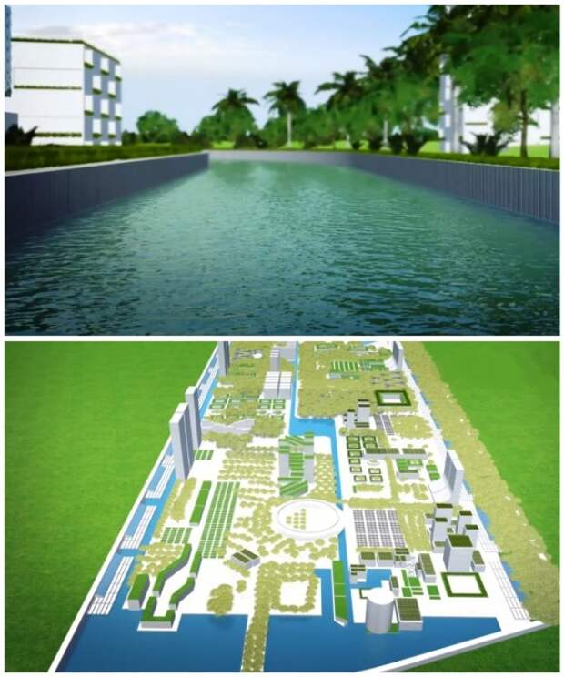 Для обеспечения города водой проведут канал от Карибского моря и будут опреснять, и перерабатывать воду (визуализация Smart Forest City, Мексика). | Фото: stefanoboeriarchitetti.net.