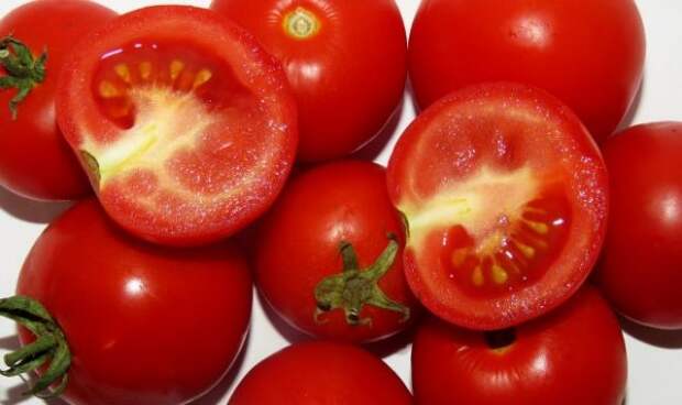 Что с плодами томатов: пятна, трещины, кэтфэйсинг, белые прожилки
