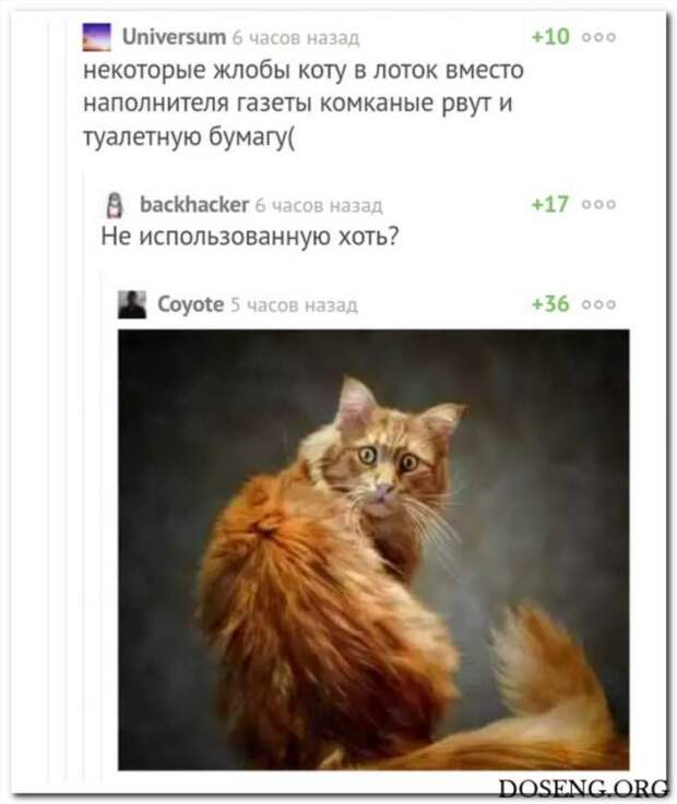 Смешные комментарии. Подборка chert-poberi-chert-poberi-15140627022020-7 картинка chert-poberi-15140627022020-7