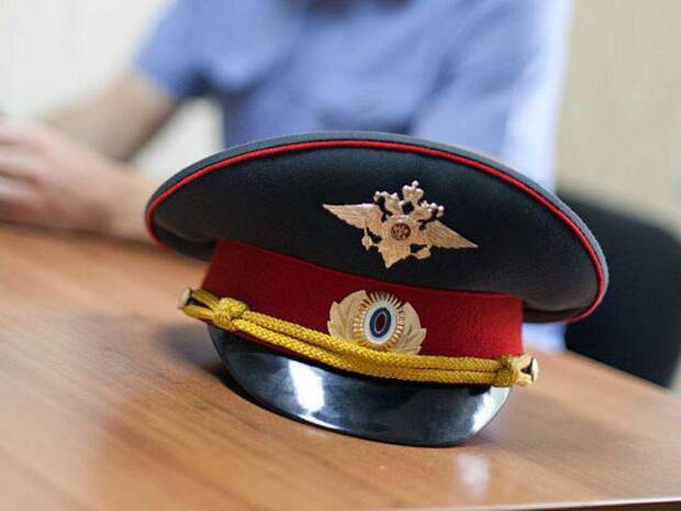 Полицейские задержали жителя Подмосковья, устроившего дебош на Таганско-Краснопресненской линии Фото с сайта pixabay.com