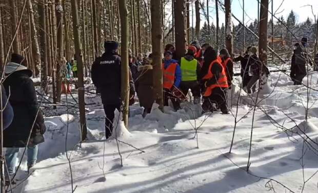 Жители Троицка вышли на борьбу против вырубки леса под школу-гиганта