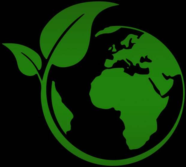 Серии открытых просмотров по экологическому воспитанию обучающихся в учреждении дошкольного образования.