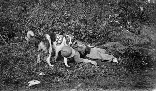 Ретро фотографии Ретро фотографии