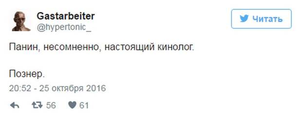 Панин