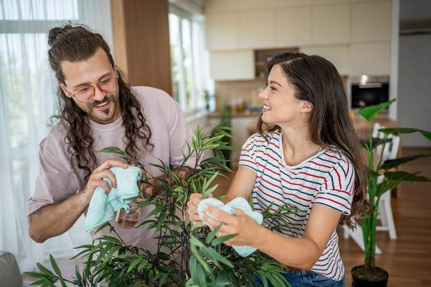 Тля на комнатных растениях: что это такое, как выглядит и как с ней бороться