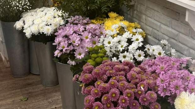 В Алтайский край не пропустили партию декоративной зелени из Италии и США