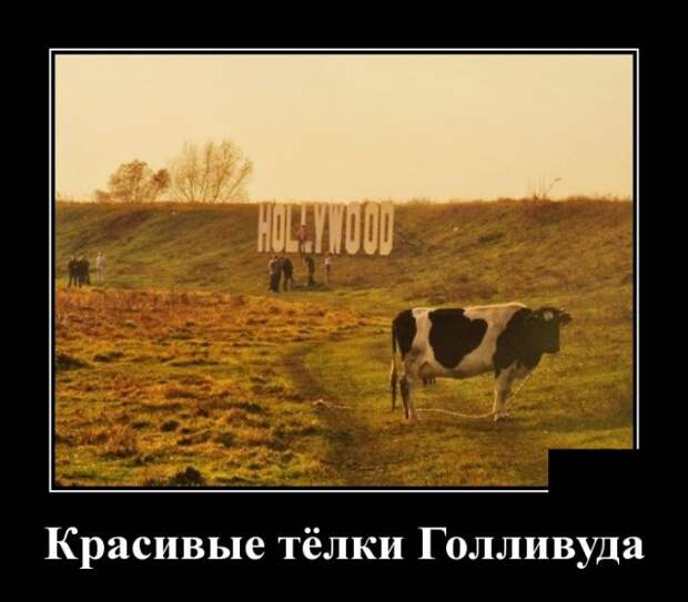 Демотиваторы (30 фото)