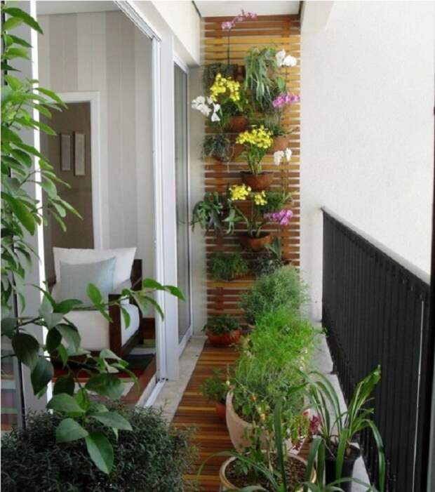 При входе в такой светлый и озелененный растениями балкон, всегда будет ощущаться лето.
