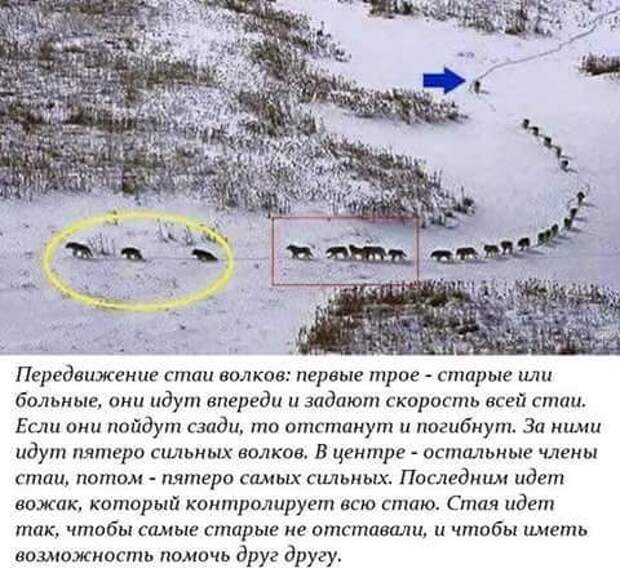 Картинки, юмор, приколы