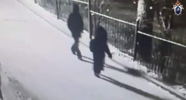 Вместе с похищенным в Красноярске подростком в такси сидела девушка