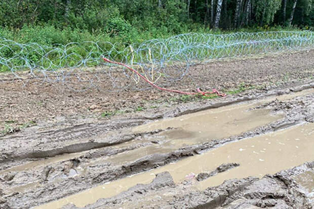 В Польше попытались разрушить забор на границе с Белоруссией