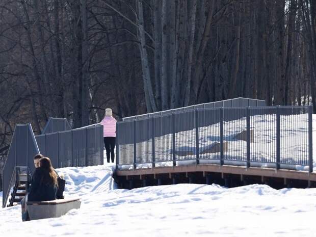 В Реадовском парке обустроят новые пешеходные дорожки