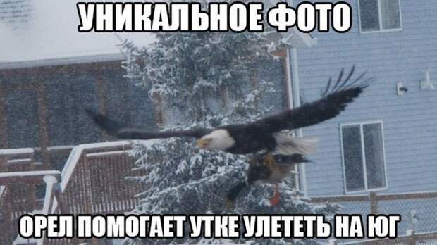 Картинки по запросу картинки снадписями эротика