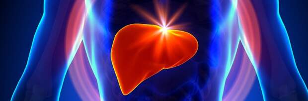 Как защитить себя от гепатита – рекомендации специалистов Актау