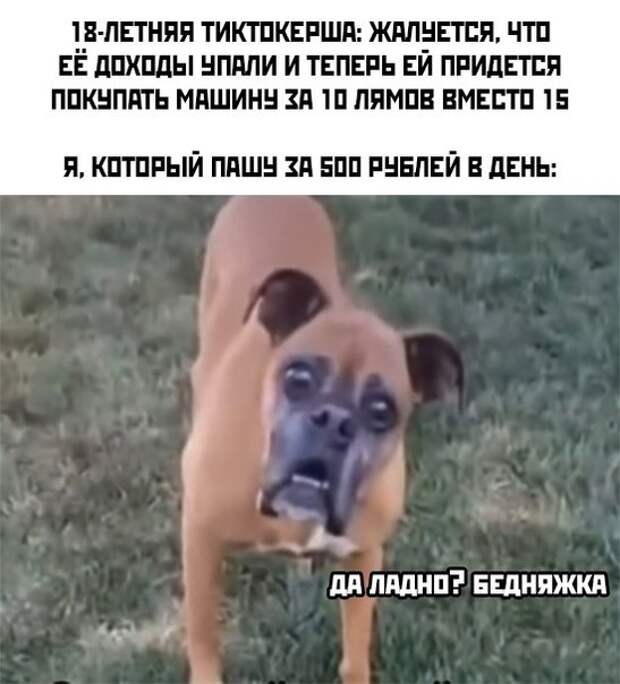 Весёлые