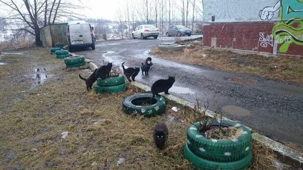 Фотоподборка