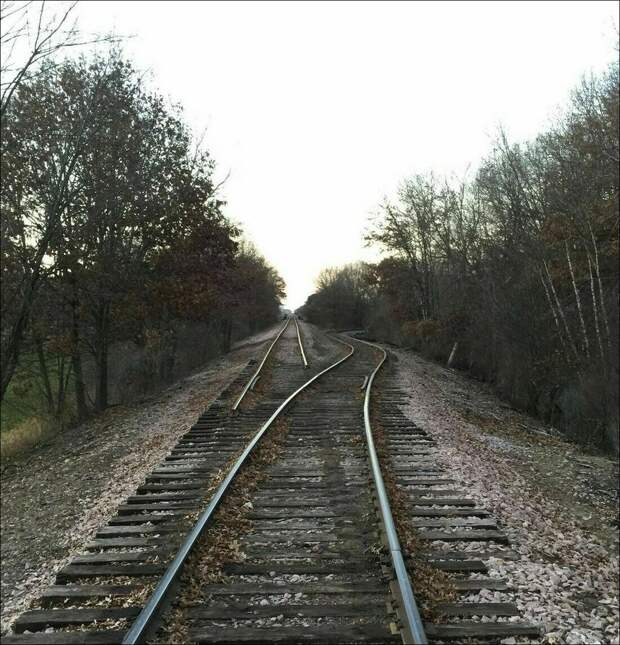 фотоприколы