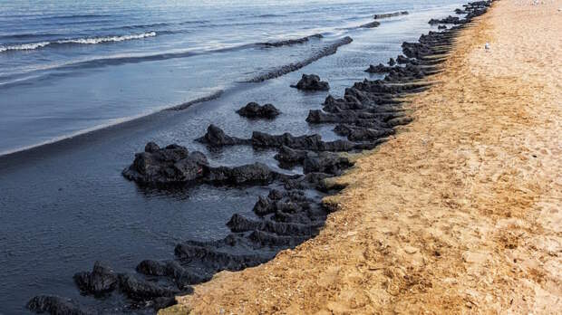 Экологическая катастрофа в Новороссийске: ущерб составил 14 млн рублей