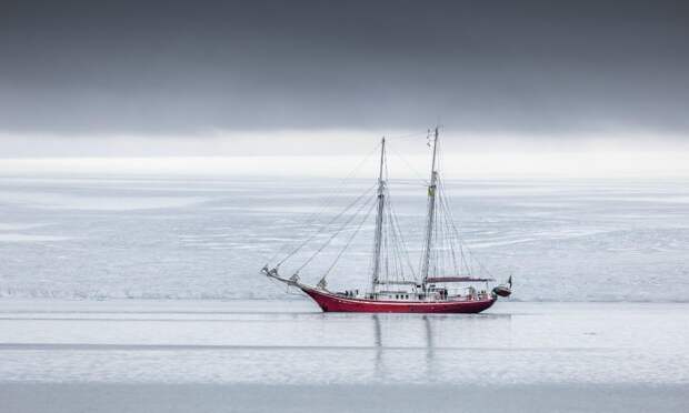 География Арктического диктанта расширилась до Антарктики