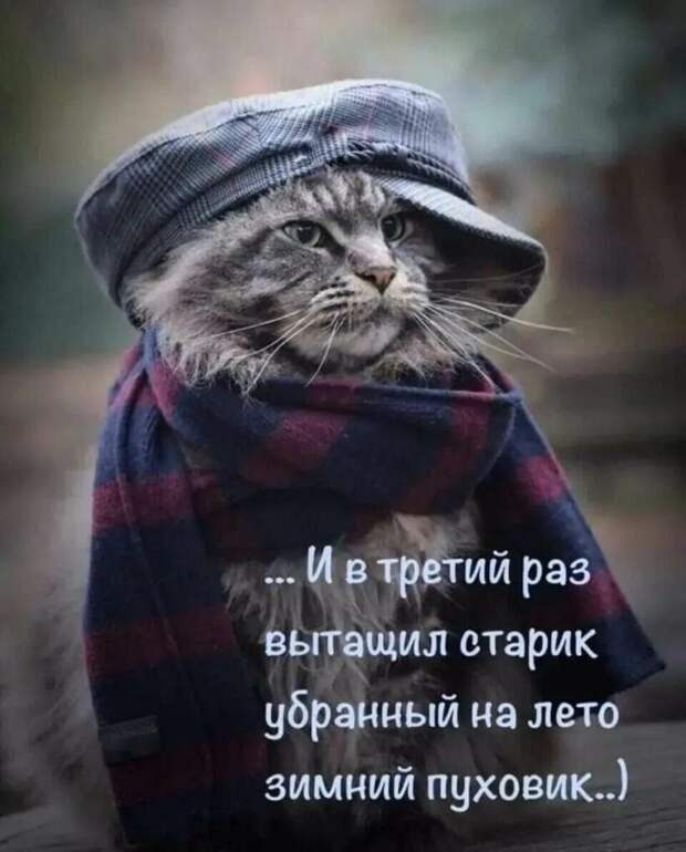 Коротко о погоде на ближайшие дни в Донецке