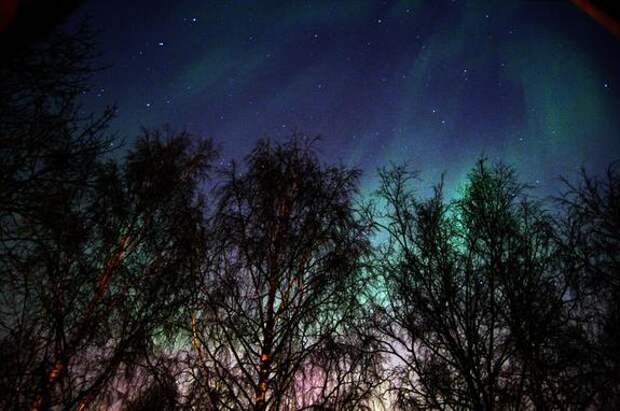 Полярное сияние озарило небо над Ленобластью ночью