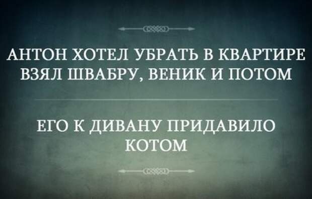 Позитивчик прикол, фото   юмор, юмор