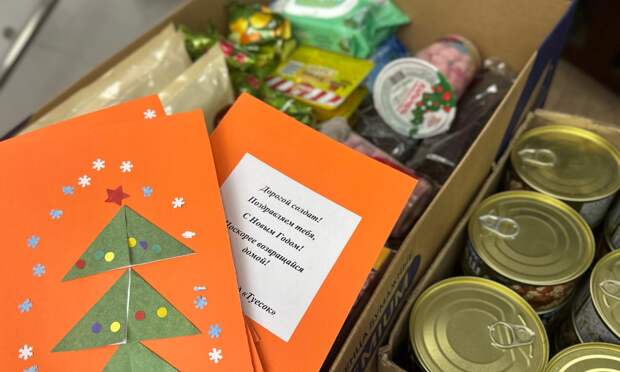«Новогодняя почта»: примите участие в сборе посылок участникам СВО