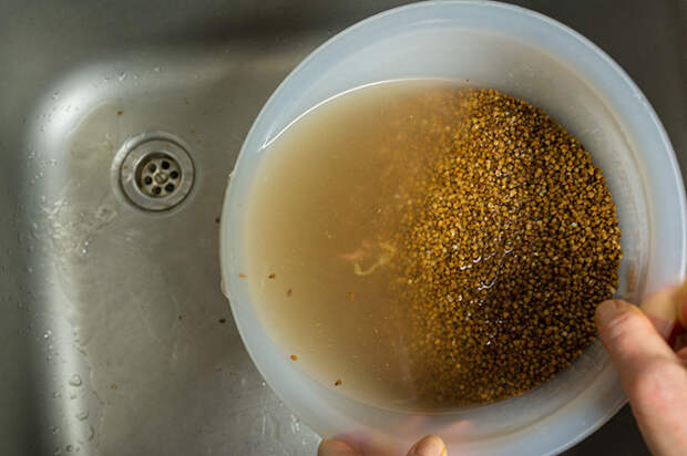 Сначала нужно отстоять крупу в миске с водой. |Фото: polonsil.ru.