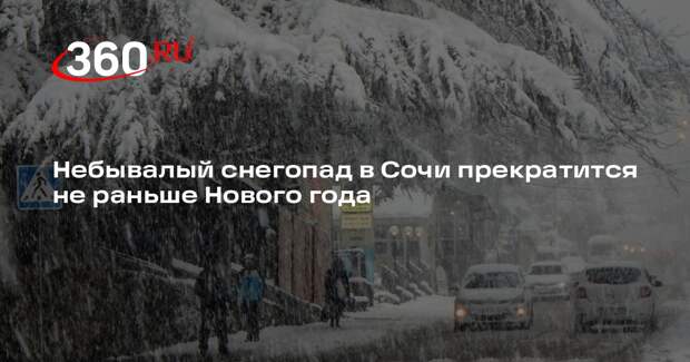 Синоптик Шувалов: снегопад в Сочи продолжится 31 декабря