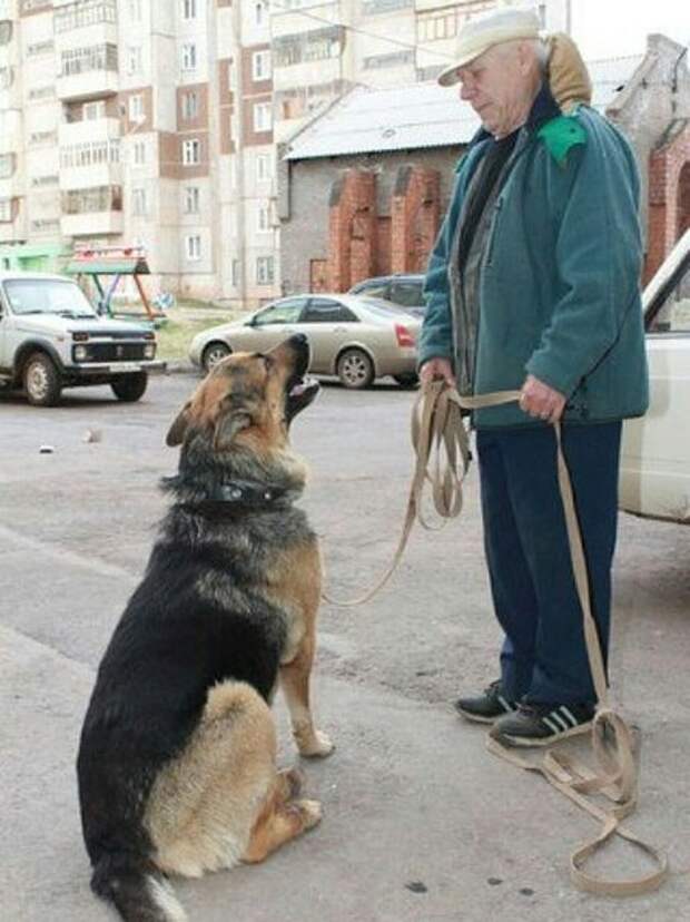 Джина служит.