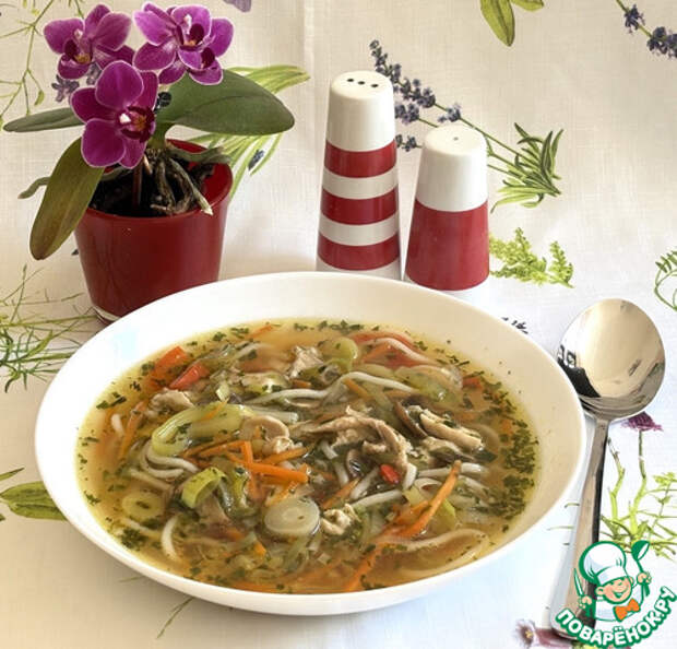Куриный суп с овощами и лапшой