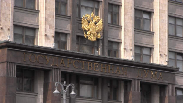 Госдума назвала важнейшие инициативы, принятые в РФ в 2020 году
