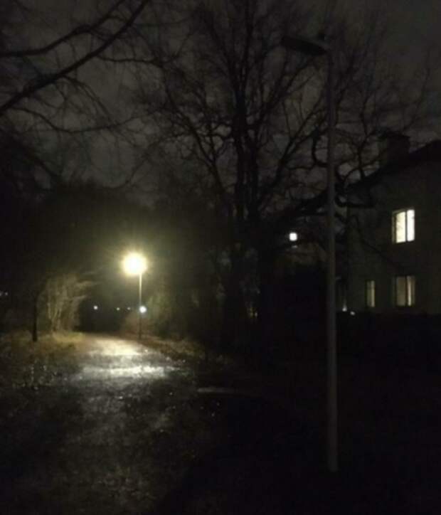 В парке Архангельском-Тюриково установили долгожданные фонари