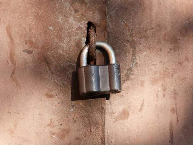 Свыше 21 тысячи участков под гаражами оформили жители Ленобласти по амнистии