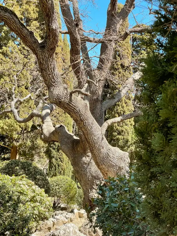 Как провести выходной в Крыму?