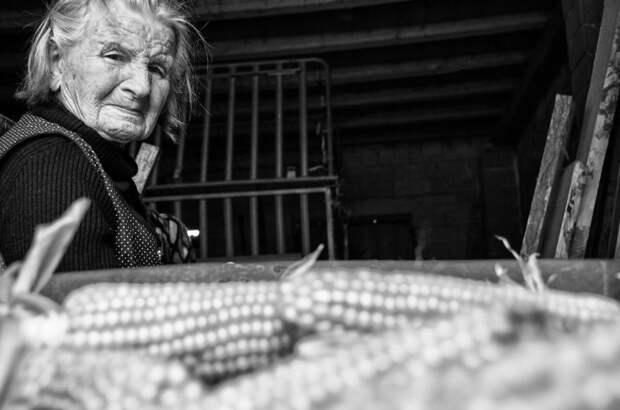 Внучка отсняла один день из жизни бабушки и поразилась ее энергии бабушка, деревня, ферма