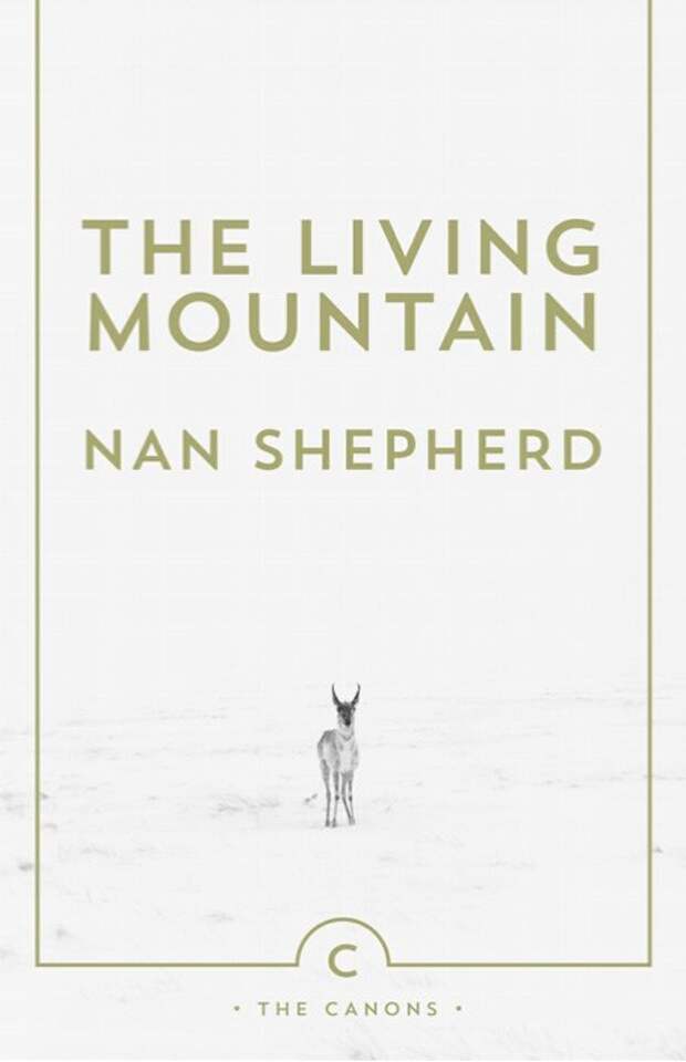 Trailblazing Scottish Mountaineer and Poet Nan Shepherd on the Transcendent Rewards of Walking and What Makes for an Ideal Walking Companion