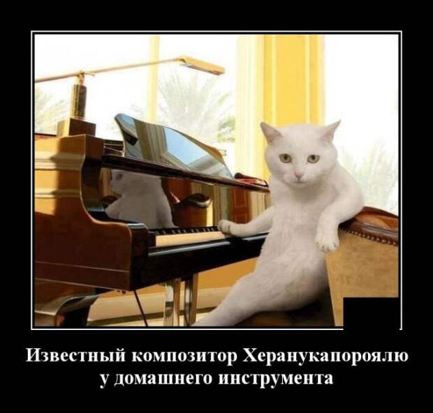 www.vsyako.net