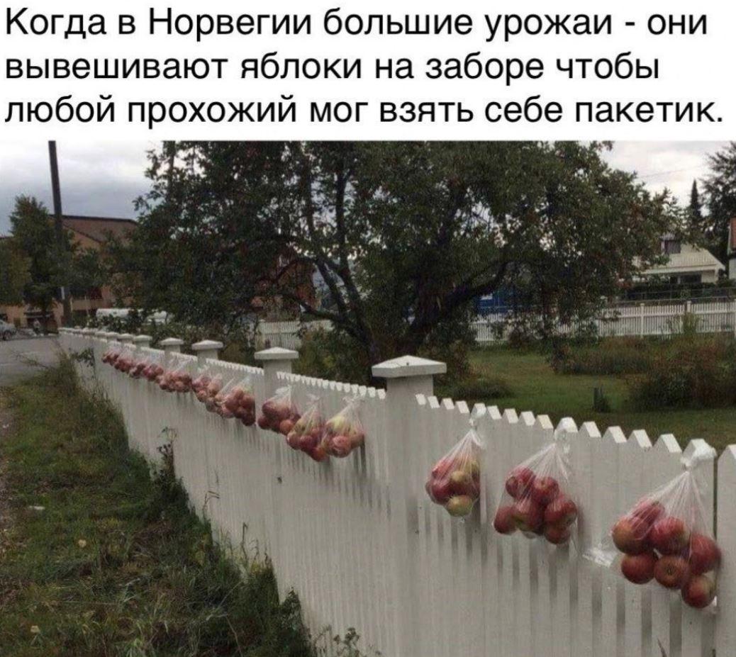 прикольные картинки ржачные (22)