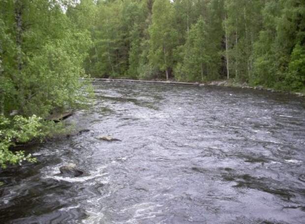 Бабье ремесло хворостом поросло