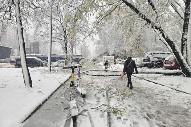 Фенолог Любов: циклон с Баренцева моря вернул снег в центр России