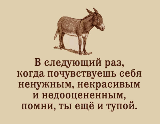 Анекдоты, байки и просто приколы (38 картинок)