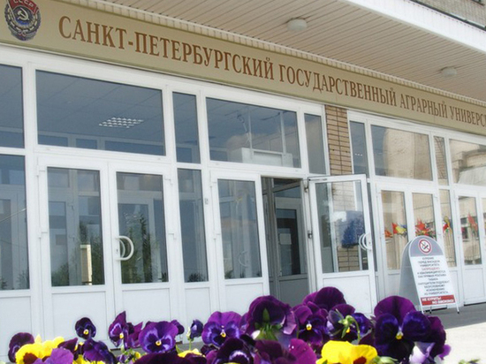 В вузах начались сокращения преподавателей: профсоюзы бьют тревогу В вузах начались сокращения преподавателей: профсоюзы бьют тревогу