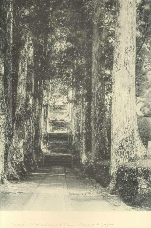 Район Хаконе (Национальный парк Фудзи-Хаконе-Изу), 1892