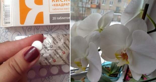 thumb-600x315 (7)