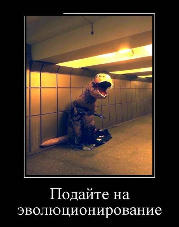 30 демотиваторов в среду