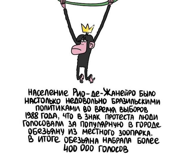 Интересные и короткие факты на все случаи жизни