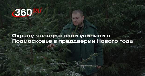 Охрану молодых елей усилили в Подмосковье в преддверии Нового года