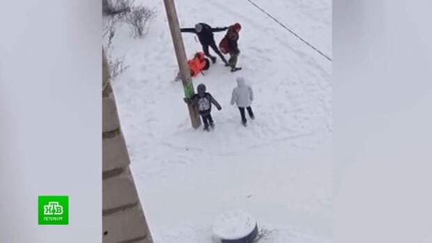 Детский омбудсмен Ленобласти отреагировала на инцидент с избитой школьниками сиротой